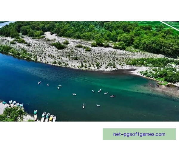 极限挑战！破浪而行，冲浪锦标赛掀起热浪